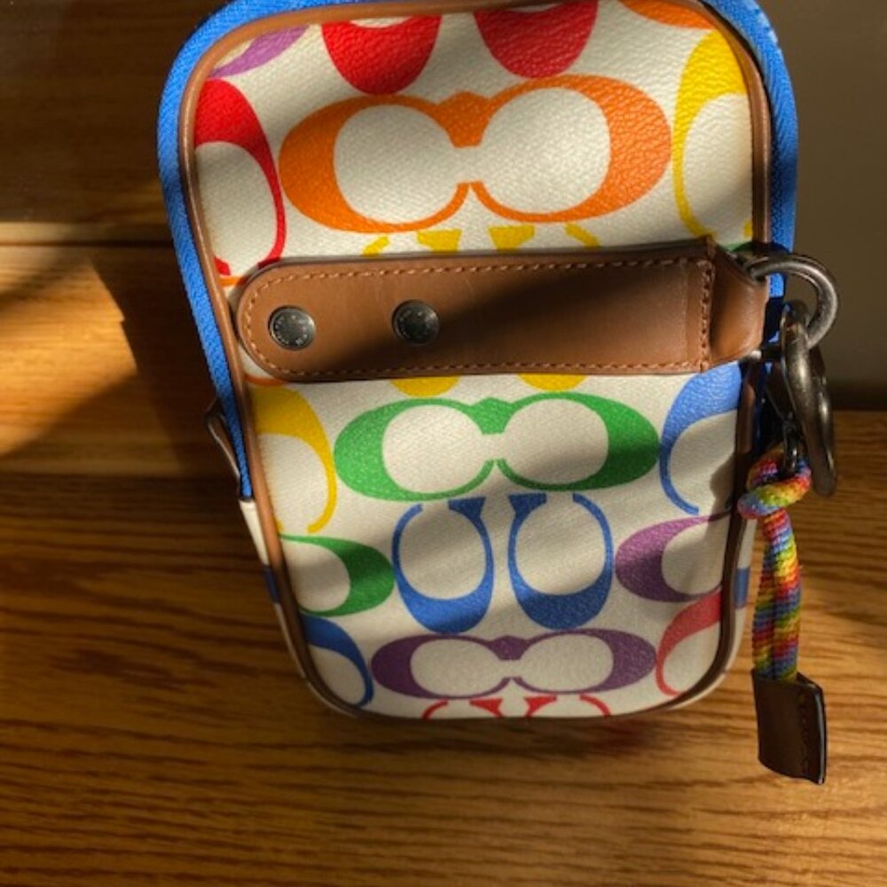 North/South Hybrid Pouch In Rainbow Signature Canvas